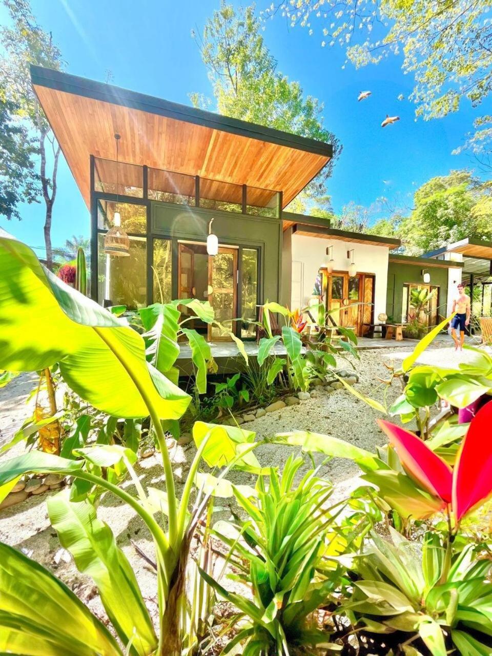 Ikiru House Villa Playa Santa Teresa  ภายนอก รูปภาพ